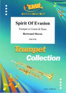 Spirit of Evasion Download