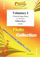 Voluntary I Standard
