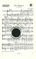 Morgen 