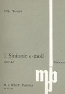 Symphony No 1 C Minor Op. 12 