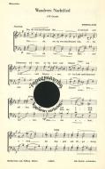 Wanderers Nachtlied 