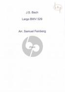 Largo from Organ Sonata No. 5 BWV 529 