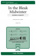 In the Bleak Midwinter 