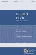 Sudden Light 