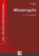 Winternacht 