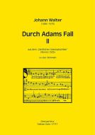 Durch Adams Fall 2 