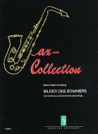 Bilder des Sommers 