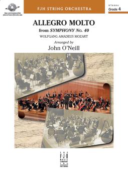 Allegro molto from Symphony No. 40 