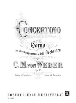 Concertino E minor op. 45 