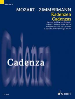 Cadenzas Download