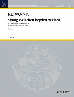 Sinnig zwischen beyden Welten Download