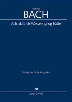 Ach, dass ich Wassers gnug hätte 
