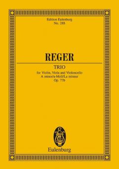 Streichtrio a-Moll op. 77b 