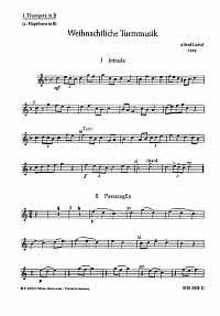 Weihnachtliche Turmmusik 