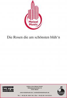 Die Rosen die am schönsten blüh'n 