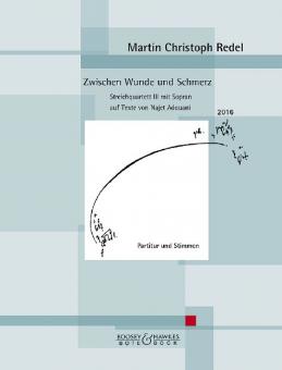 Zwischen Wunde und Schmerz 