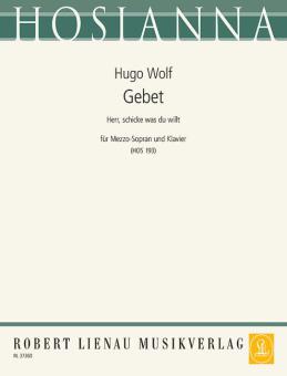 Gebet: Herr, schicke was du willt Standard