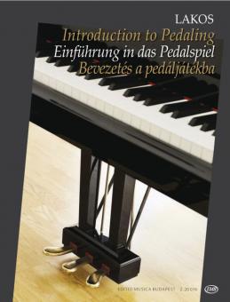 Introduction To Pedaling 