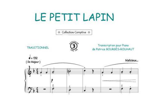 Un petit lapin 