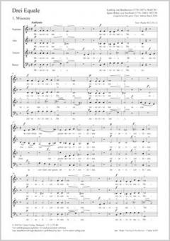 3 Equale Standard