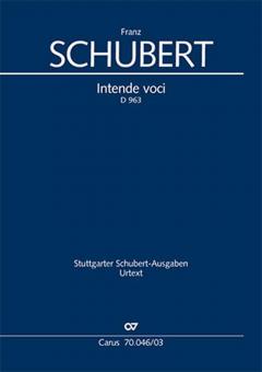Intende voci D963 Standard