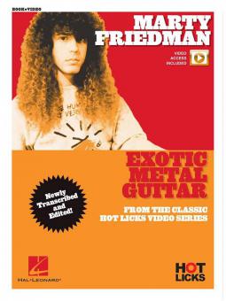 Exotic Metal Guitar 