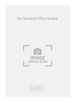 Au Sommet Des Andes 