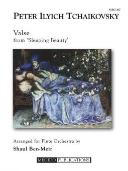 Valse from 'Sleeping Beauty' 