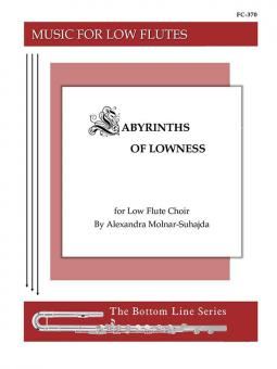Labyrinths of Lowness 