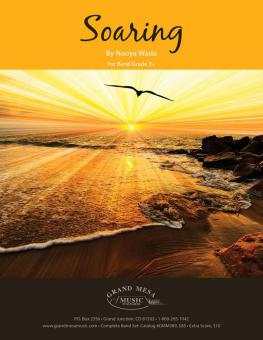 Soaring 