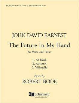 The Future in My Hand 