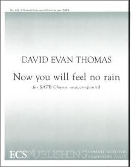 Now You Will Feel No Rain 
