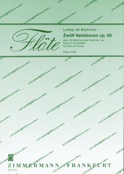 12 Variations on Ein Mädchen oder Weibchen op. 66 
