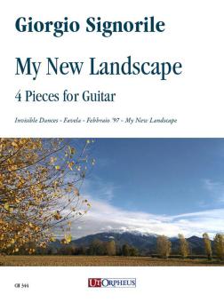 My New Landscape 