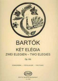 Two Elegies 