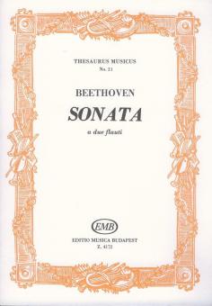 Sonata a due flauti 