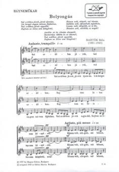 Bolyongás 