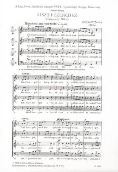 Ode To Liszt 