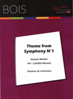 Theme From Symphony N 1 
