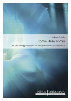 Komm, Jesu, komm 