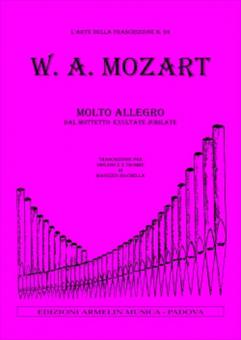 Molto Allegro 