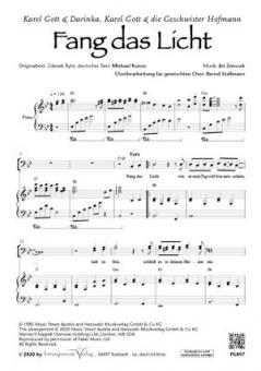 Fang das Licht 