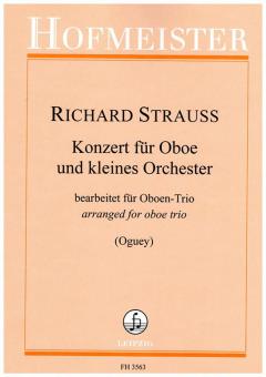 Konzert für Oboe und kleines Orchester D-Dur 