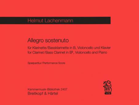 Allegro sostenuto 