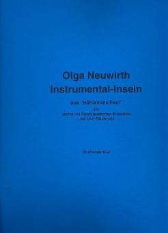 Instrumental-Inseln 