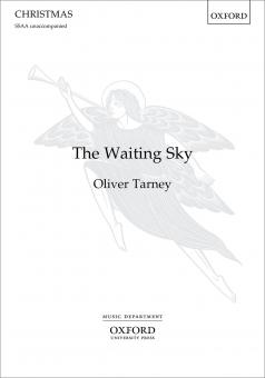 The Waiting Sky 