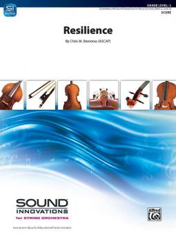 Resilience Standard