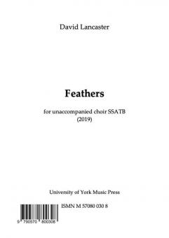 Feathers 