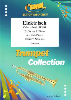 Elektrisch Standard