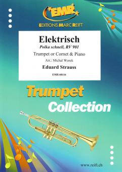 Elektrisch Standard
